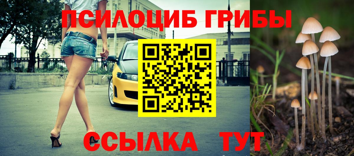 Псилоцибиновые грибы прущие грибы  Вход с VPN  Саранск 